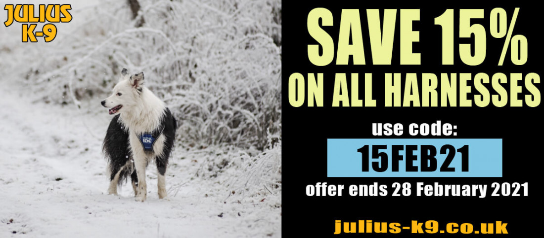 Feb 2021 Dog Harness 15% Discount Code - Julius K9