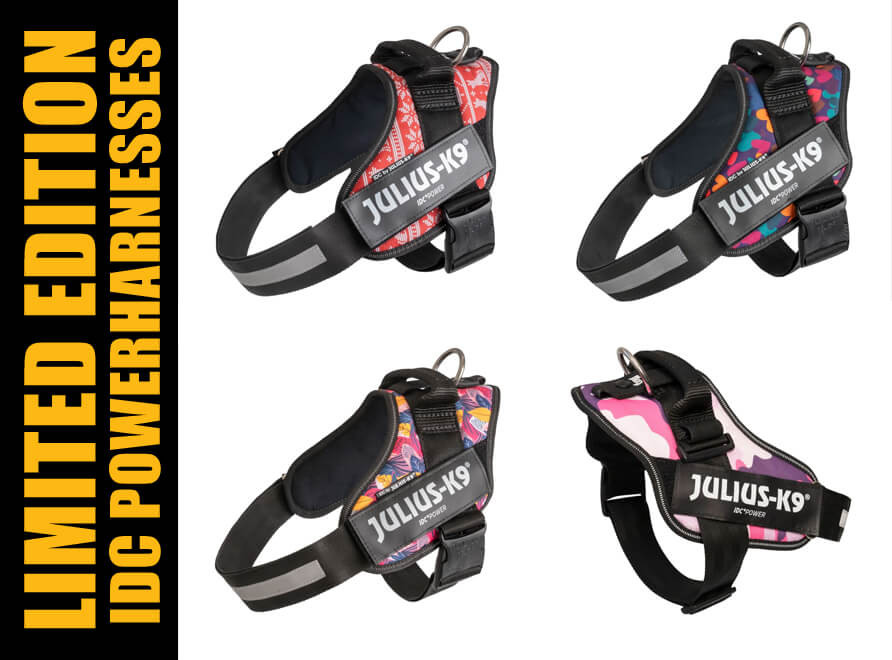 New Limited Edition Dog Harnesses - Julius K9 UK Blog