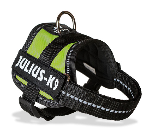 Weerkaatsing buste Veranderlijk XX Small Julius K9 Classic Dog Harness (Kiwi Green) - Julius K9 UK