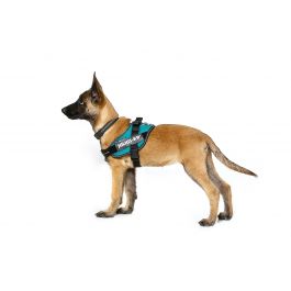 Harnais Julius-K9 IDC®Power BABY Rouge pour chiens de 1 à 5 kg (2X-S) -  PETSPLANS