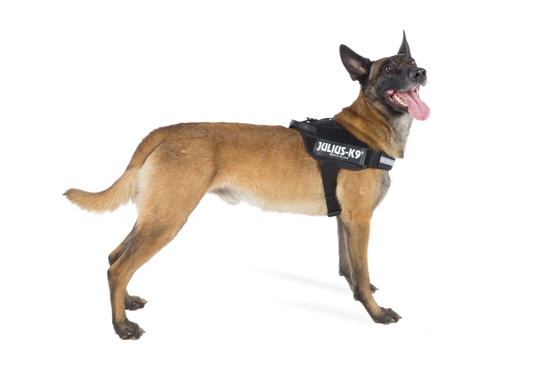 IDC® Stealth Tactical Dog Harness - Julius K9 UK