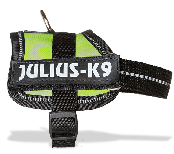 Weerkaatsing buste Veranderlijk XX Small Julius K9 Classic Dog Harness (Kiwi Green) - Julius K9 UK