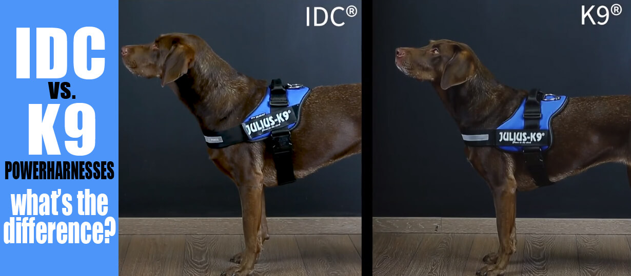 Julius-K9 IDC Powerharness Dog Harness