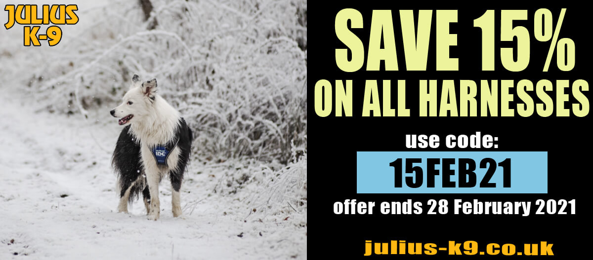 Feb 2021 Dog Harness 15% Discount Code - Julius K9 UK Blog