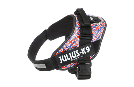 High Quality Dog Harnesses, Collars & Gear